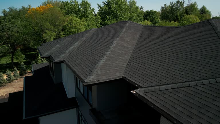 Best Solar Panel Roofing Installation  in Rosenberg, TX